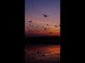 Kaise Kahe Kya H Sitam Song Status Whatsapp Status