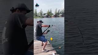 Download lagu Strike ikan kerapu monster, #fishing mp3