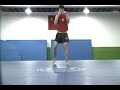Sanda Basics