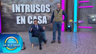 El experto nos dice cómo alejar a las chinches de nuestra casa. | Venga La Alegría