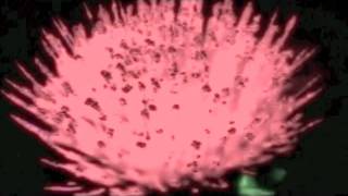 Magnetic Poetry   Time