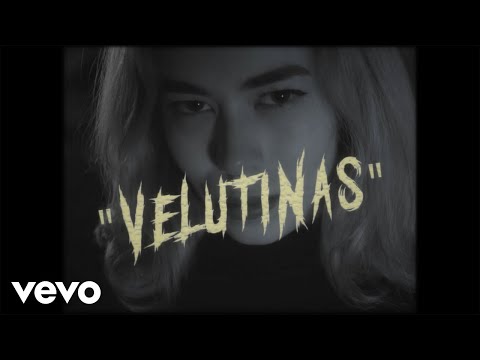 Guadi Galego - Velutinas
