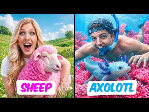 I Adopted More Minecraft Pets in Real Life!