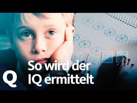The IQ test and its significance | Quarks