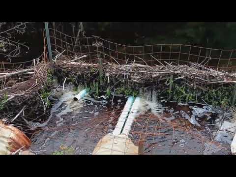 Freeman Ridge Road, Kingfield Maine. Washout and clogged beaver deceiver. @post10Vlogs8-9-23