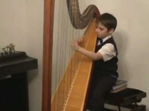 Handel Concert For Harp, B Dur, 1st  Part  Andrushchenko