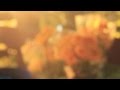 Motionless - Birds of Tokyo 