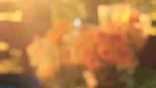 Motionless - Birds of Tokyo