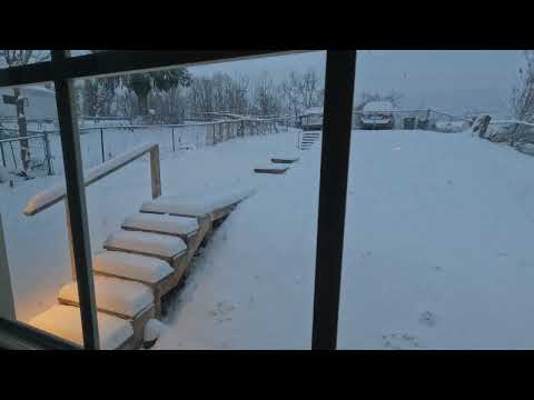 12 Hour Time Lapse Snowfall Mar 12 2022