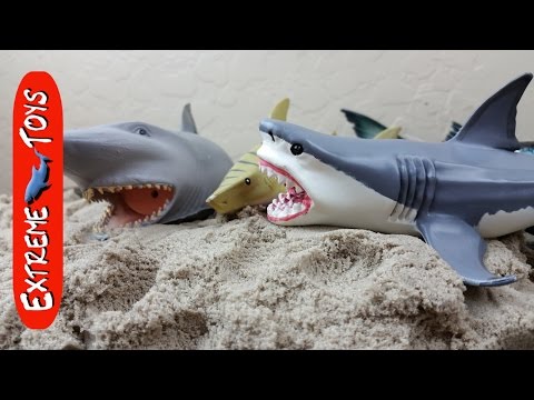 Surprise Shark toys hidden in Kinetic Sand!