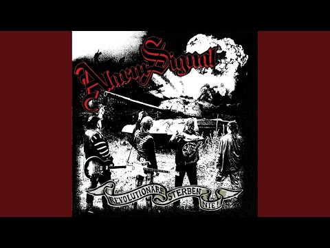 Pauli die Ratte - Alarmsignal