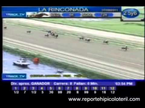 Resumen Domingo 07 de Agosto de 2011 - La Rinconada