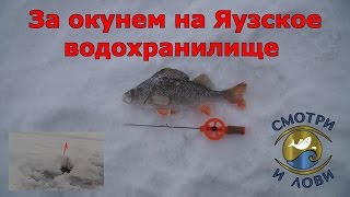 Отчёты о рыбалке яузское водохранилище зимняя рыбалка