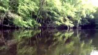 Ry Cooder ~ On a Monday