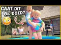 WAT DOET LUAN MET LUXY iN HET ZWEMBAD? ? | Bellinga Vlog #1818