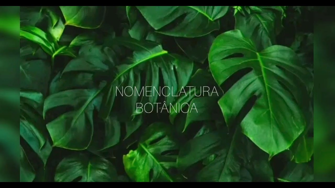 Vídeo Nomenclatura botânica - Giovanna Miranda