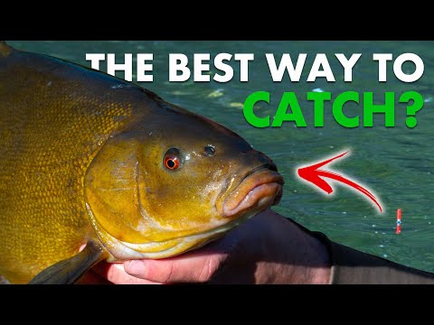 Float Fishing For TENCH!