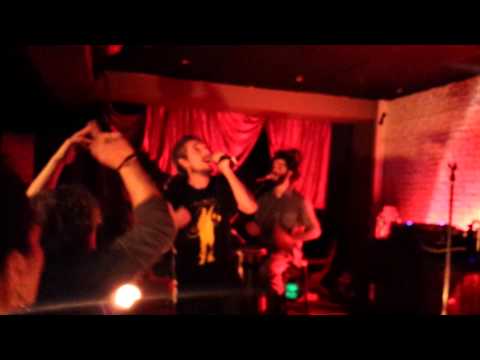 Monsieur Lézard live acoustique