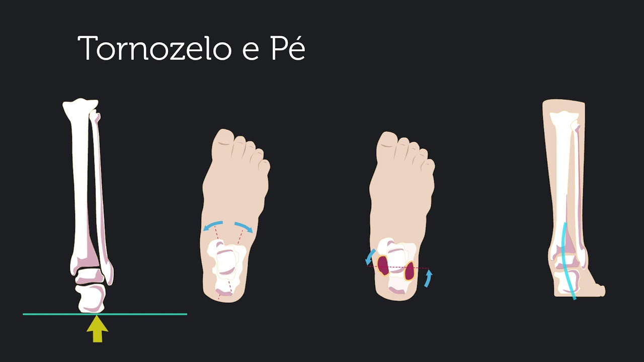 Marcha Humana – resposta à carga