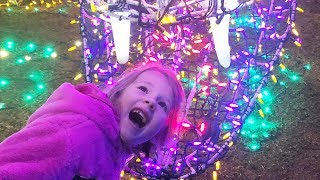 ZOO LIGHTS ATTACK!!! Everything Christmas Vlog With Christmas Lights & Cookies