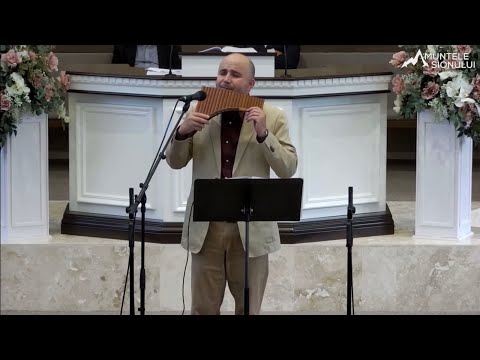 Tu ai promis că sătura-vei - Viorel Manolache