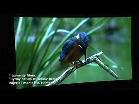 "Rytmy natury w Dolinie Baryczy" - wywiad z Arturem Homanem (Atelier, TV Proart)