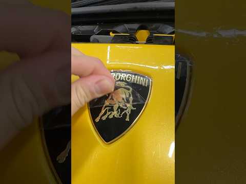Thumbnail for Finishing week on our favorite Lamborghinis🔥💛#ppf #autodetailing #miami #lamborghini #temerario by Lamborghini Temerario