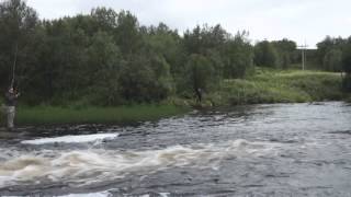 preview picture of video 'Flyfishing in kjerringoy think about what you can save'