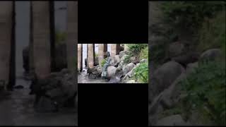 Download lagu The real mermaid:lundi river Zimbabwe mp3