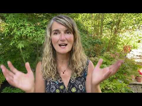 Desvendando os remédios de Neal's Yard com Tipper | Como os orgânicos evoluíram em 2010 | Remédios de Neal's Yard