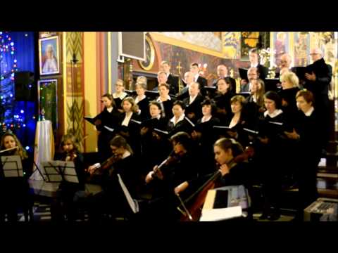 Betlejemskie pole śpi