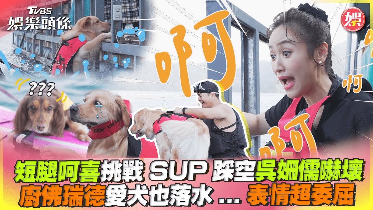 影音/呵喜挑戰SUP踩空吳姍儒嚇壞 廚佛瑞德愛犬落水超委屈