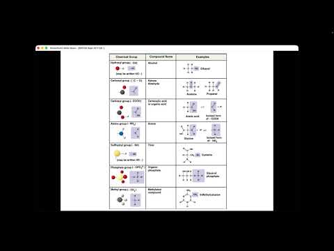 BIO105 Introductory Biology, Wed., Sept., 30th, David Champlin, USM