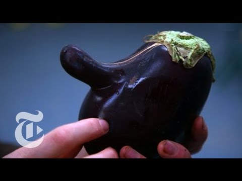 download lagu mp3 mp4 What Is Ugly Fruit, download lagu What Is Ugly Fruit gratis, unduh video klip What Is Ugly Fruit