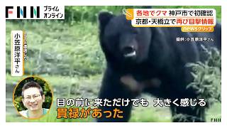 神戸市でクマを初確認 近くにゴルフ場 京都･天橋立では再び目撃情報…青森・岐阜・富山でも（2026年06月12日）