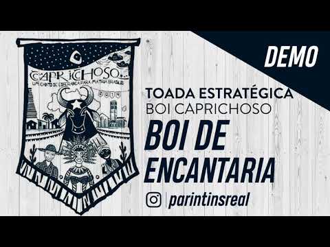 🔵DEMO CAPRICHOSO 2019 - BOI DE ENCANTARIA