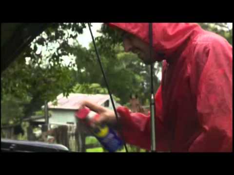 4wd action roothys rainforest challenge