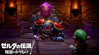 もう一度、キミと会えたなら【ゼルダの伝説 知恵のかりもの】#1