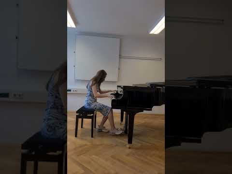 Kreisler-Vaneyev,prelude&allegro in the style of Pugnani