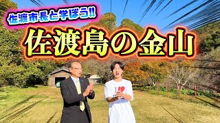 佐渡島の金山 日本の世界遺産・動画