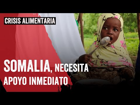 NECESITAMOS APOYO INMEDIATO PARA SOMALIA