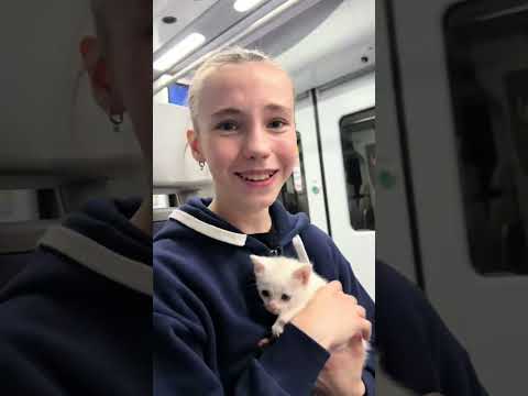 Anastasia Russo 🧸: #short #shorts #anastasia.russo