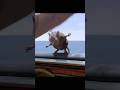 Voyage Of The Dawn Treader Reepicheep S Epic Mouse Moment