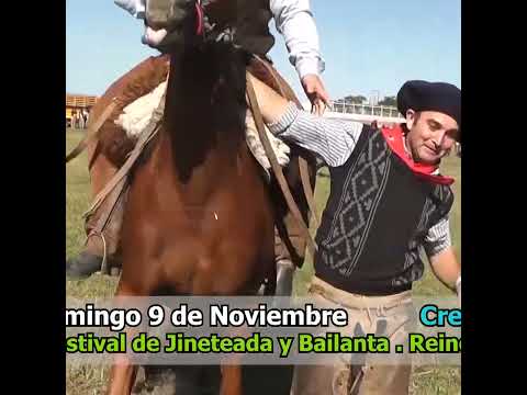 Monta de vacunos en Campo Andino Santa Fe