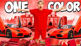 Buying Only ONE Color Items for 24 Hours (Red)