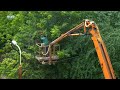 Tree Pruning Service Cape Island Tree Services