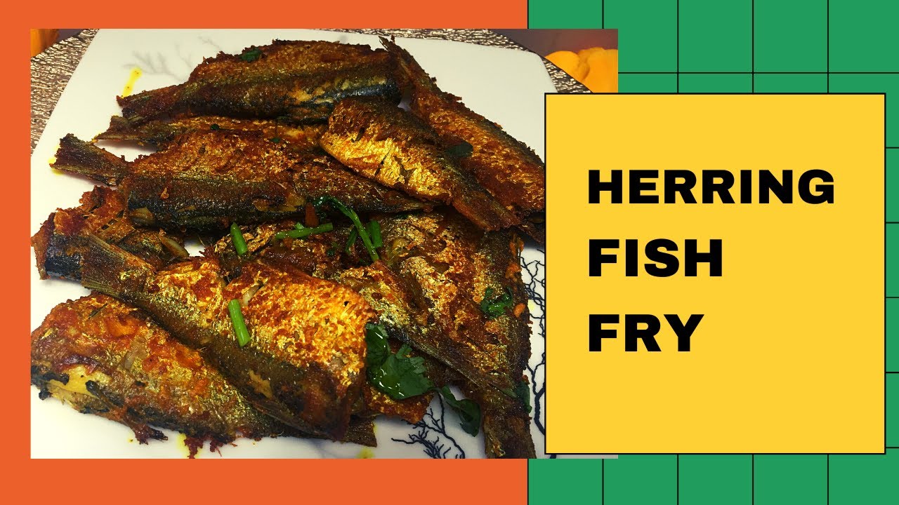 how to cook herring fish fry||home style herring fish fry||Australian herring fish fry||herring fish