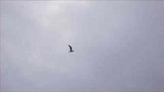 ART BLAKEY & THE JAZZ MESSENGERS.Come Rain or Come Shine.