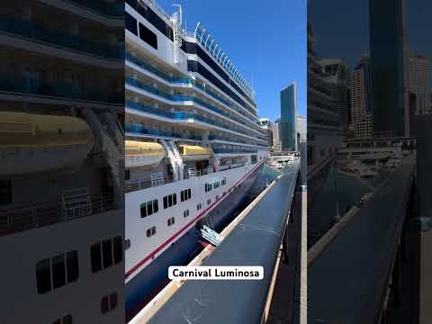 Thumbnail for Carnival Luminosa Cruise Ship  in Circular Quay, Sydney!