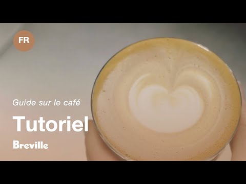 miniature vidéo